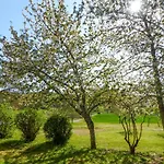 Ehemaliger Bauernhof Le Bonheur In By Interhome * Sainte-Mondane