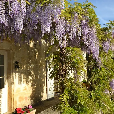 Ehemaliger Bauernhof Le Bonheur In By Interhome Sainte-Mondane